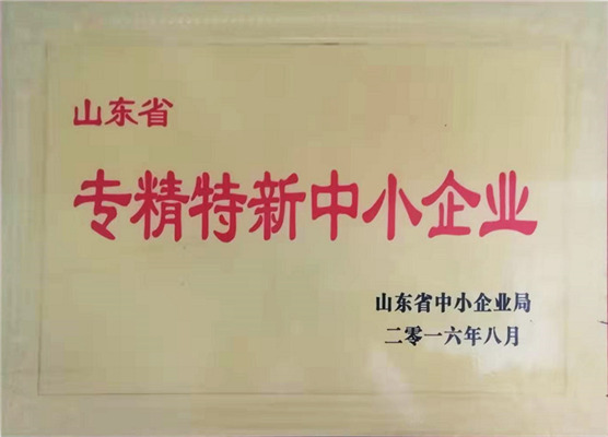專精特新中小企業(yè)