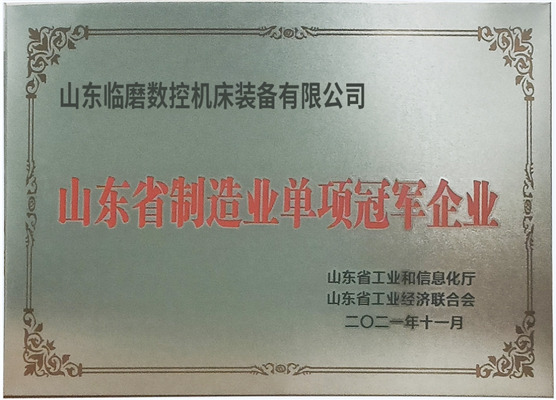 山東省制造業(yè)單項(xiàng)冠軍企業(yè)